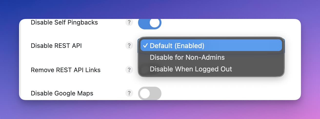 Perfmatters Disable REST API