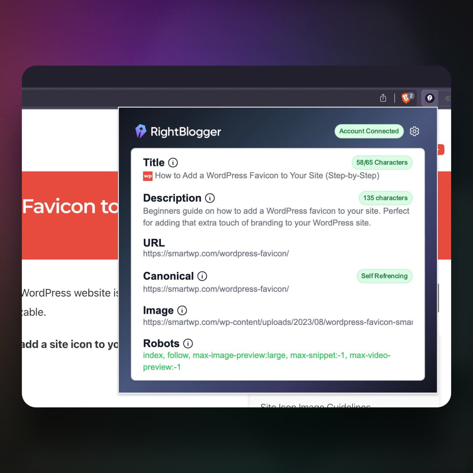 SEO Checks in One Click screenshot