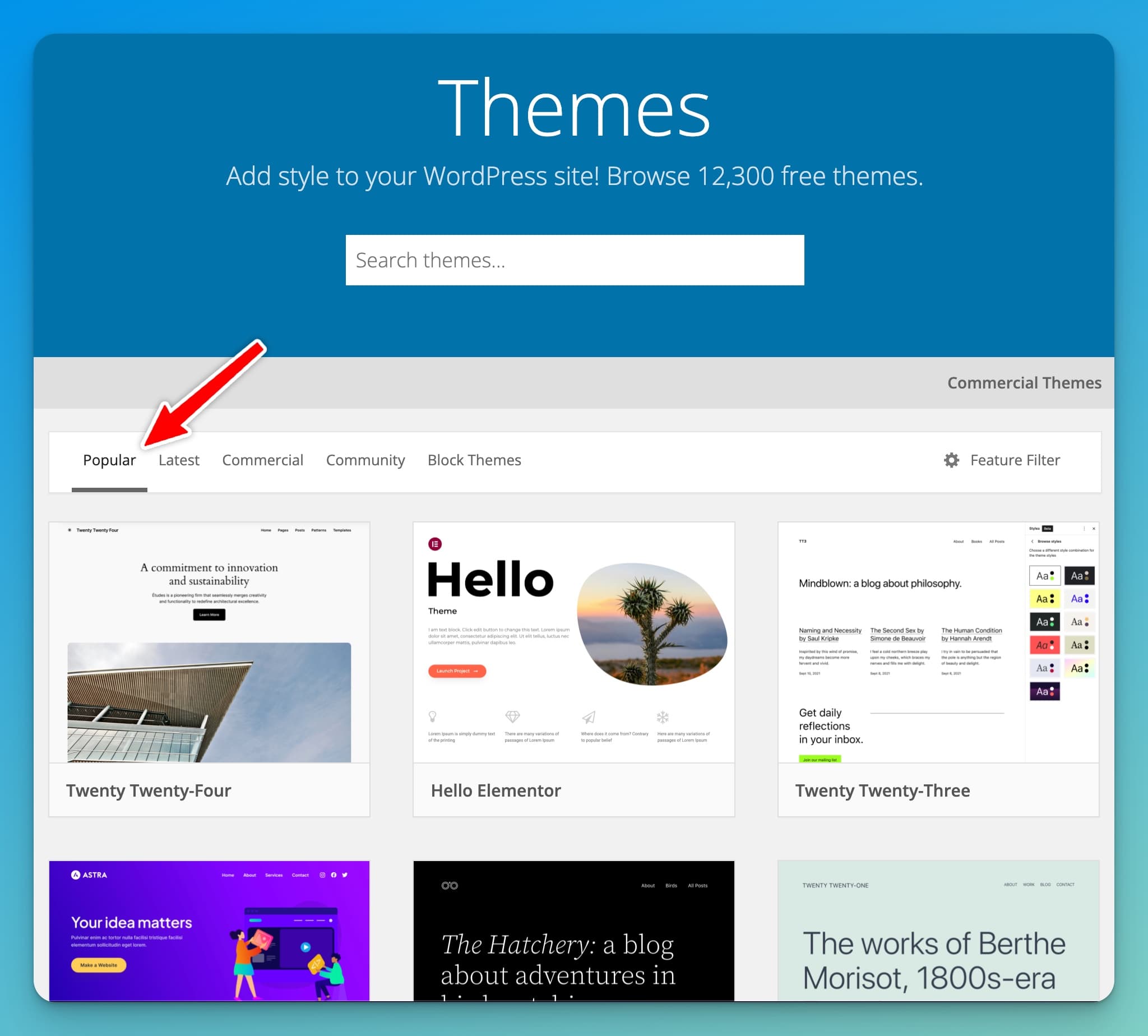 How to Choose a WordPress Theme (Popular Themes Sort) on WordPress