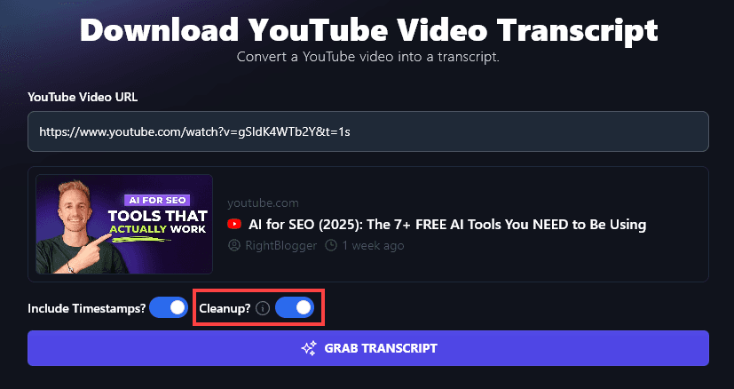 Selecting to Clean Up the Transcript Using the YouTube Transcript Generator