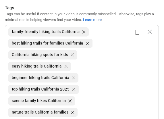 Pasting Your List of Tags into the Tags Section for Your YouTube Video