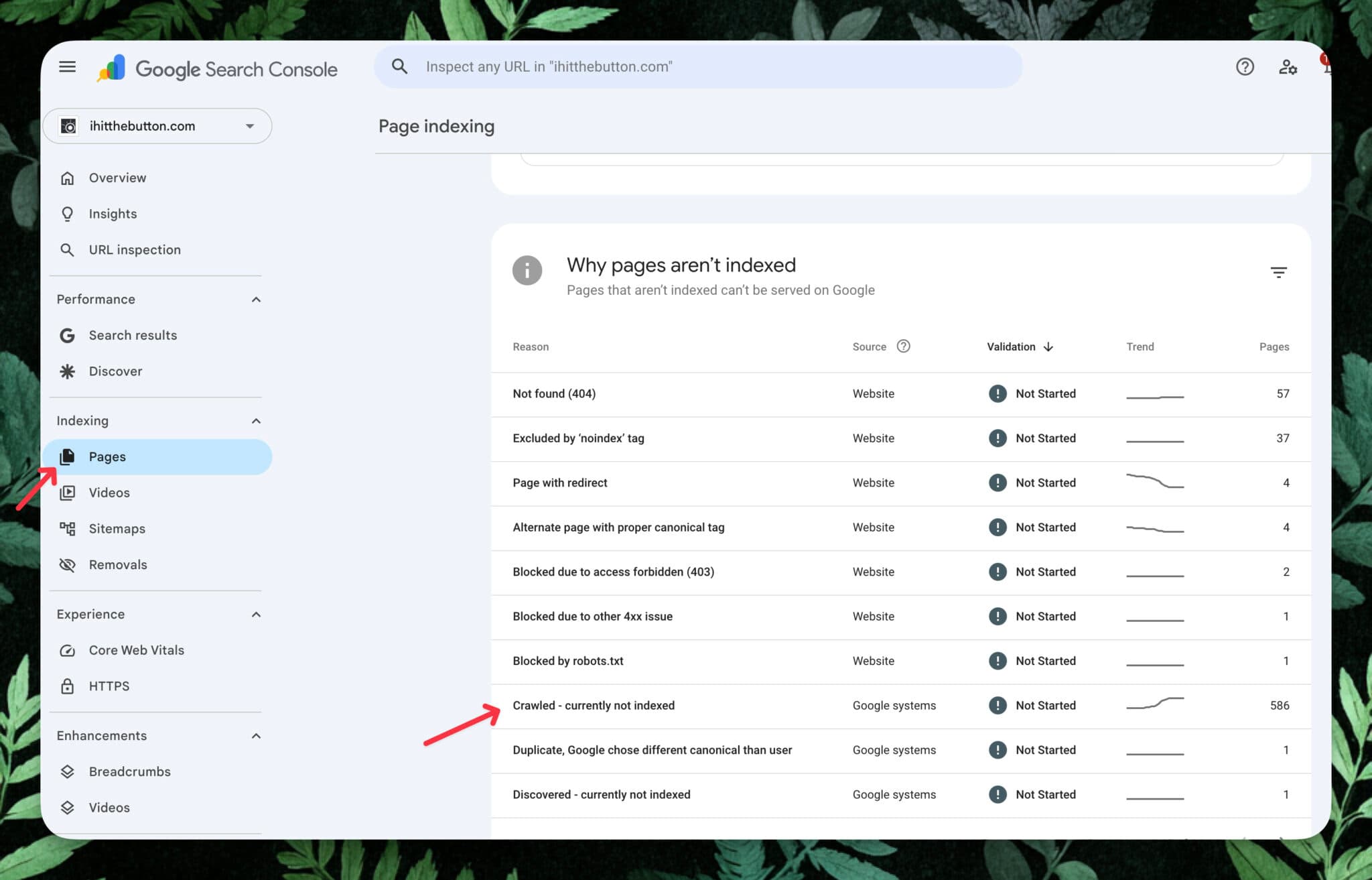 Google Search Console Crawled but not indexed
